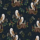 Woodland Owl Col 101 Apr/May 26