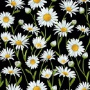 Flower Market Col. 104 Daisies