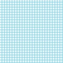 Gingham Col.101 Blue