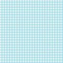 Gingham Col.101 Blue