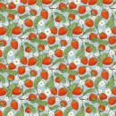 Whimsical Fields Col 106 Jan/Feb 26