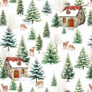 Santa's Snow Day Col.101 May/June 27