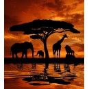 African Safari Colour 103 90cm Panel