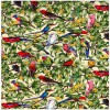 Birds in Paradise Colour 1 Ivory