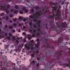 20200 quilt backs col 261