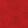 20200 Quilt Backs Col 292
