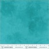 20200 quilt backs col 310