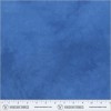20200 quilt backs col 311