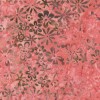 21880 Henna Col 9
