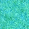 21890 Mediterranean Sea Col 9