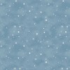 22370 Christmas Magic Col 11