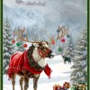 22370 Christmas Magic Col 14