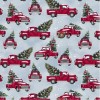 22370 Christmas Magic Col 3