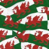Welsh Flag Col. 101