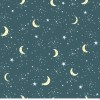81920 Winter Moonlight Col 4
