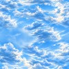 82580 Cloud Nine Col. 2 (002)