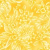 Quilt Backs Col 263