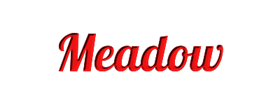 homepage meadow banner