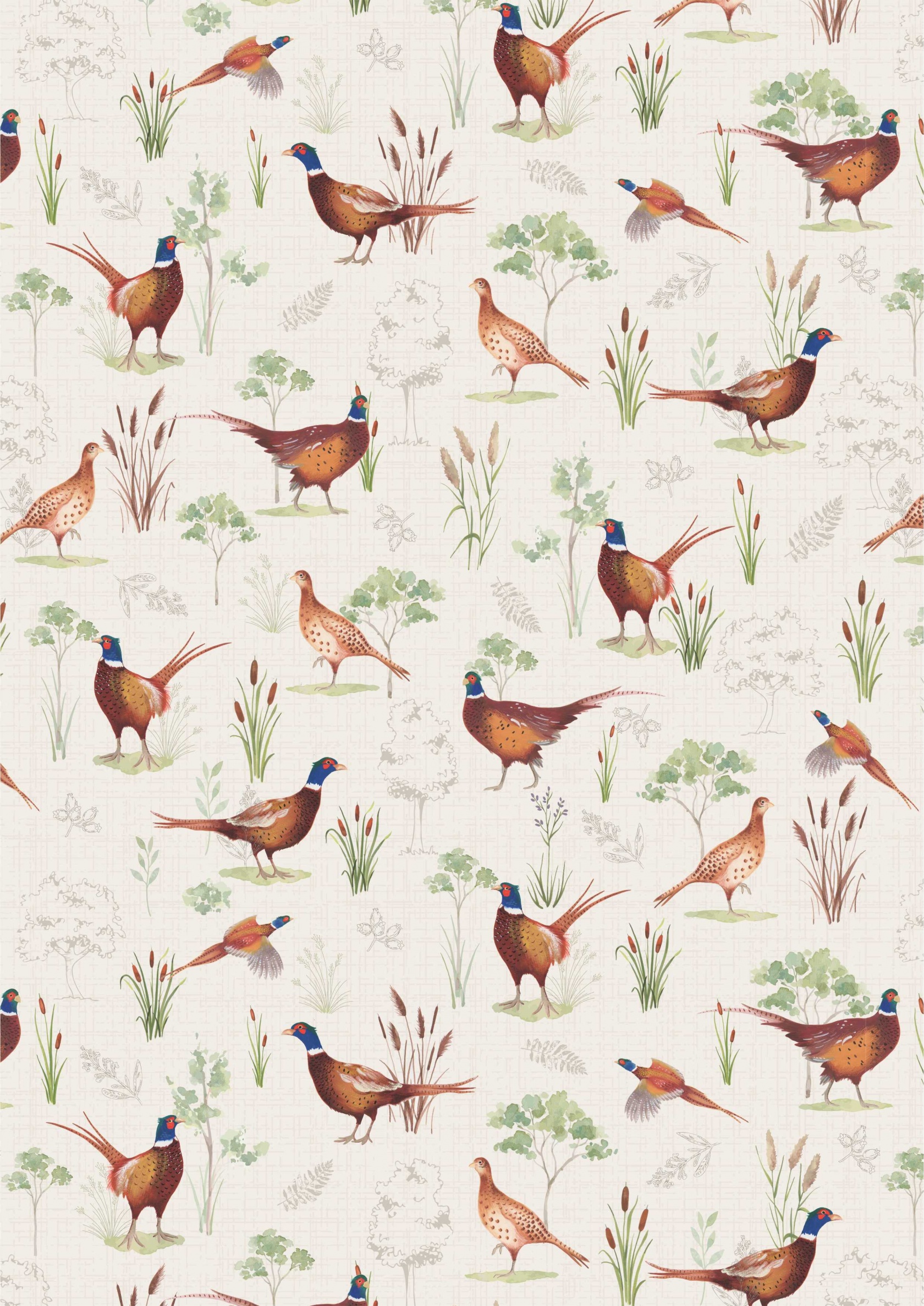 Country Pheasants